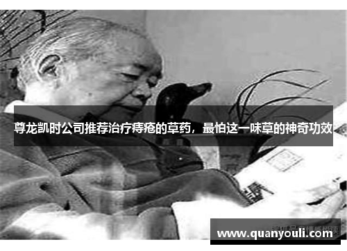 尊龙凯时公司推荐治疗痔疮的草药，最怕这一味草的神奇功效
